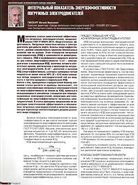 Integral Energy Efficiency Indicator for Submersible Motors